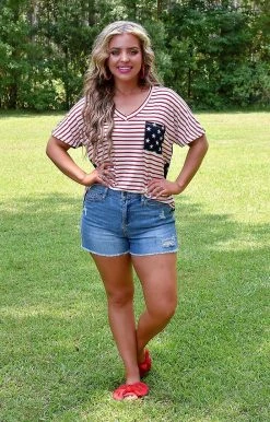 Heimish - ST2025-11 - 61522 Backyard Barbecues Print Top TOPS